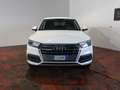 Audi Q5 40 2.0 tdi Business quattro 190cv s-tronic White - thumbnail 2