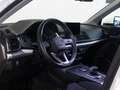 Audi Q5 40 2.0 tdi Business quattro 190cv s-tronic White - thumbnail 7