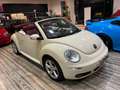 Volkswagen New Beetle CABRIO BI-FUEL GPL Blanco - thumbnail 10