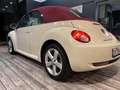 Volkswagen New Beetle CABRIO BI-FUEL GPL Blanco - thumbnail 4