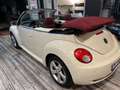 Volkswagen New Beetle CABRIO BI-FUEL GPL Blanco - thumbnail 13