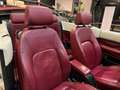 Volkswagen New Beetle CABRIO BI-FUEL GPL Blanco - thumbnail 21