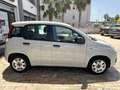 Fiat Panda Panda III 1.2 Lounge 69cv Beige - thumbnail 4