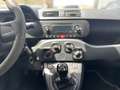 Fiat Panda Panda III 1.2 Lounge 69cv Beige - thumbnail 14