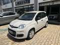 Fiat Panda Panda III 1.2 Lounge 69cv Beige - thumbnail 3