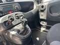 Fiat Panda Panda III 1.2 Lounge 69cv Beige - thumbnail 19
