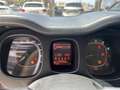 Fiat Panda Panda III 1.2 Lounge 69cv Beige - thumbnail 16