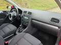 Volkswagen Golf Trendline Top* Kredit* 86.293KM* Sitzheizung* PDC Rot - thumbnail 14