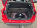 SEAT Arona Style Edition 1.0 TSI DSG Navi Kamera Sitzheizung Rot - thumbnail 10