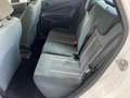 Ford Fiesta 5p 1.2 16v Titanium 82cv Bianco - thumbnail 15