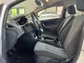 Ford Fiesta 5p 1.2 16v Titanium 82cv Bianco - thumbnail 10