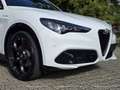 Alfa Romeo Stelvio Veloce Q4 280PS Weiß - thumbnail 3