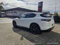 Alfa Romeo Stelvio Veloce Q4 280PS Weiß - thumbnail 5