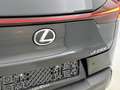 Lexus UX 250h F Sport Line | Navigatie | Stuur-Stoelverwarming | Schwarz - thumbnail 19