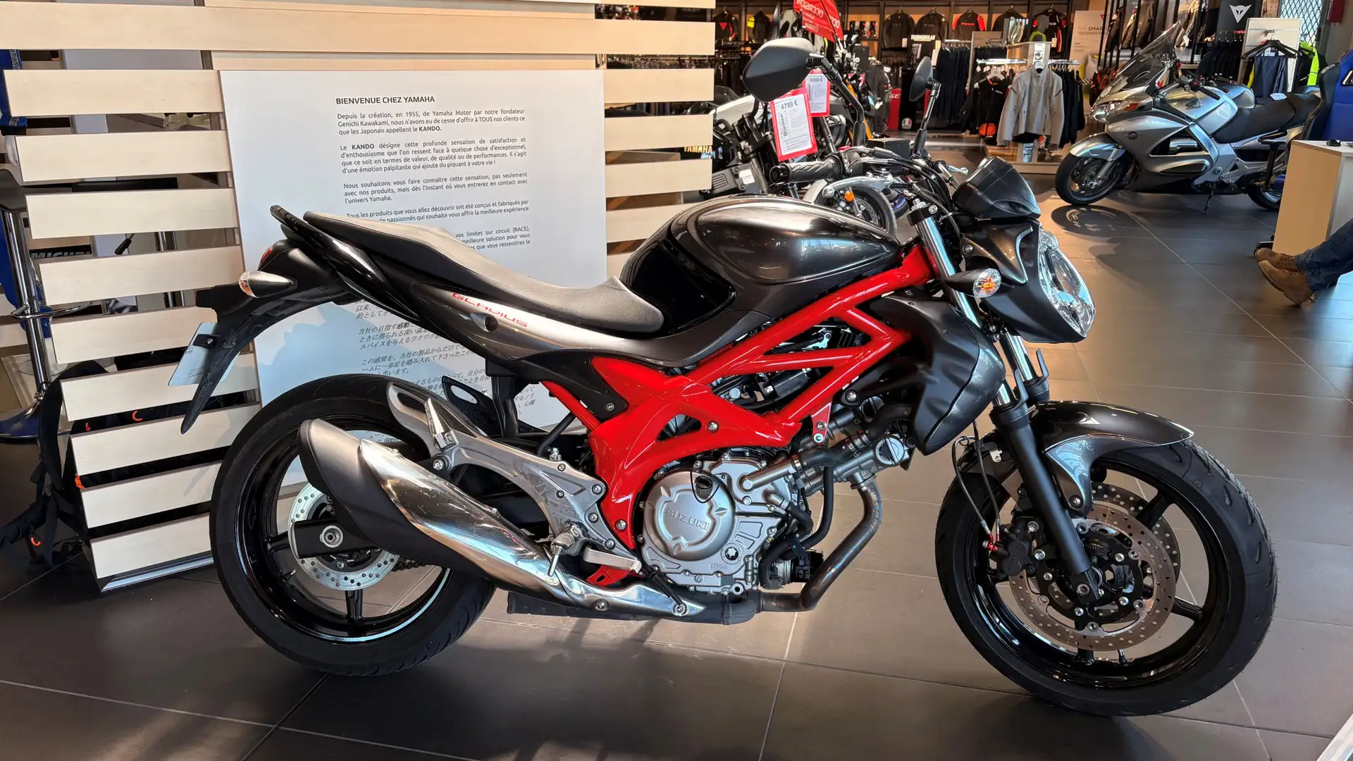 Suzuki Gladius 650 - 2