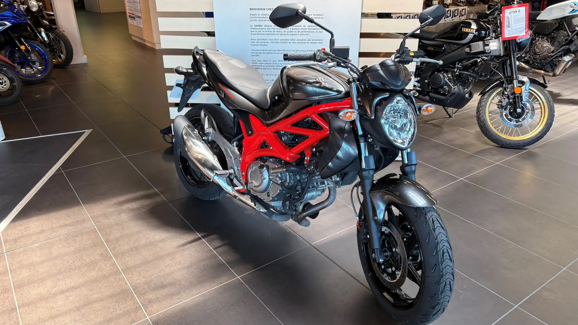 Suzuki Gladius 650 - 1