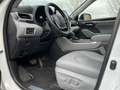 Toyota Highlander Premium Plus AWD 7PL JBL Blanco - thumbnail 21