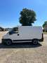 Fiat Ducato - thumbnail 3