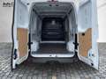 Nissan Interstar dCI150 MT L2H2 PDC/Kamera/LED Biały - thumbnail 10