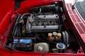 Alfa Romeo Spider 1600 Rot - thumbnail 12