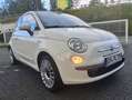 Fiat 500 Lounge /voll Scheckheft/ wunderschön/Leder Blanco - thumbnail 5