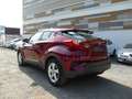 Toyota C-HR HYBRIDE PRO 122 Ch DYNAMIC BVA Roşu - thumbnail 4