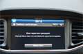 Hyundai IONIQ Premium EV Pano, Apple Carplay/Android Auto Grijs - thumbnail 21
