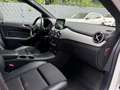 Mercedes-Benz B 220 Urban Unfallfrei 8Fach Alb - thumbnail 13