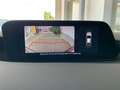 Mazda 3 Mazda3 Skyactiv-G150 Comfort+/SO/ST Blau - thumbnail 16