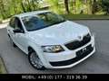 Skoda Octavia 1.6 TDI Limousine*105 PS* Blanc - thumbnail 12