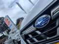 Subaru XV 1.6i LUXURY AWD AUTOMAAT Stoelverwarming | Carplay Gris - thumbnail 39