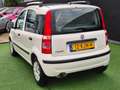 Fiat Panda 1.2 1e eig SCHUIFDAK AUTOMAAT NAP! Wit - thumbnail 5