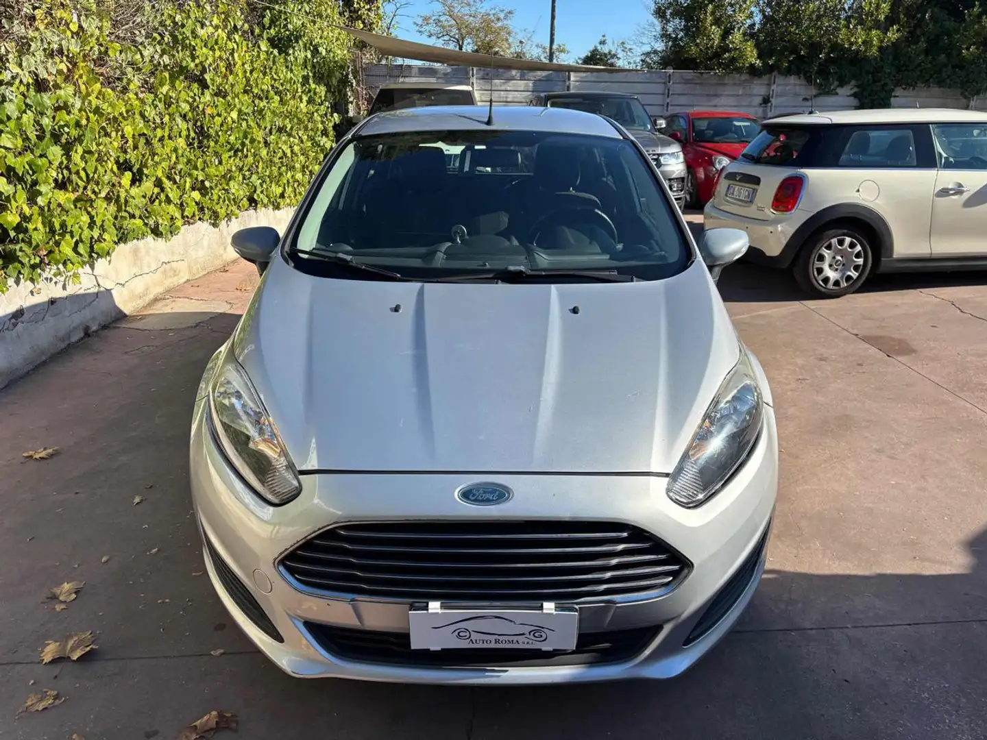 Ford Fiesta 1.5 TDCi 75CV 5 porte Black & White Edition Argento - 2