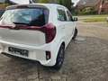 Kia Picanto 1.0 Vision Weiß - thumbnail 4