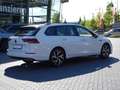 Volkswagen Golf VIII Variant 1.5 TSI R-Line LED Navi ACC Weiß - thumbnail 5