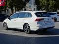 Volkswagen Golf VIII Variant 1.5 TSI R-Line LED Navi ACC Weiß - thumbnail 3