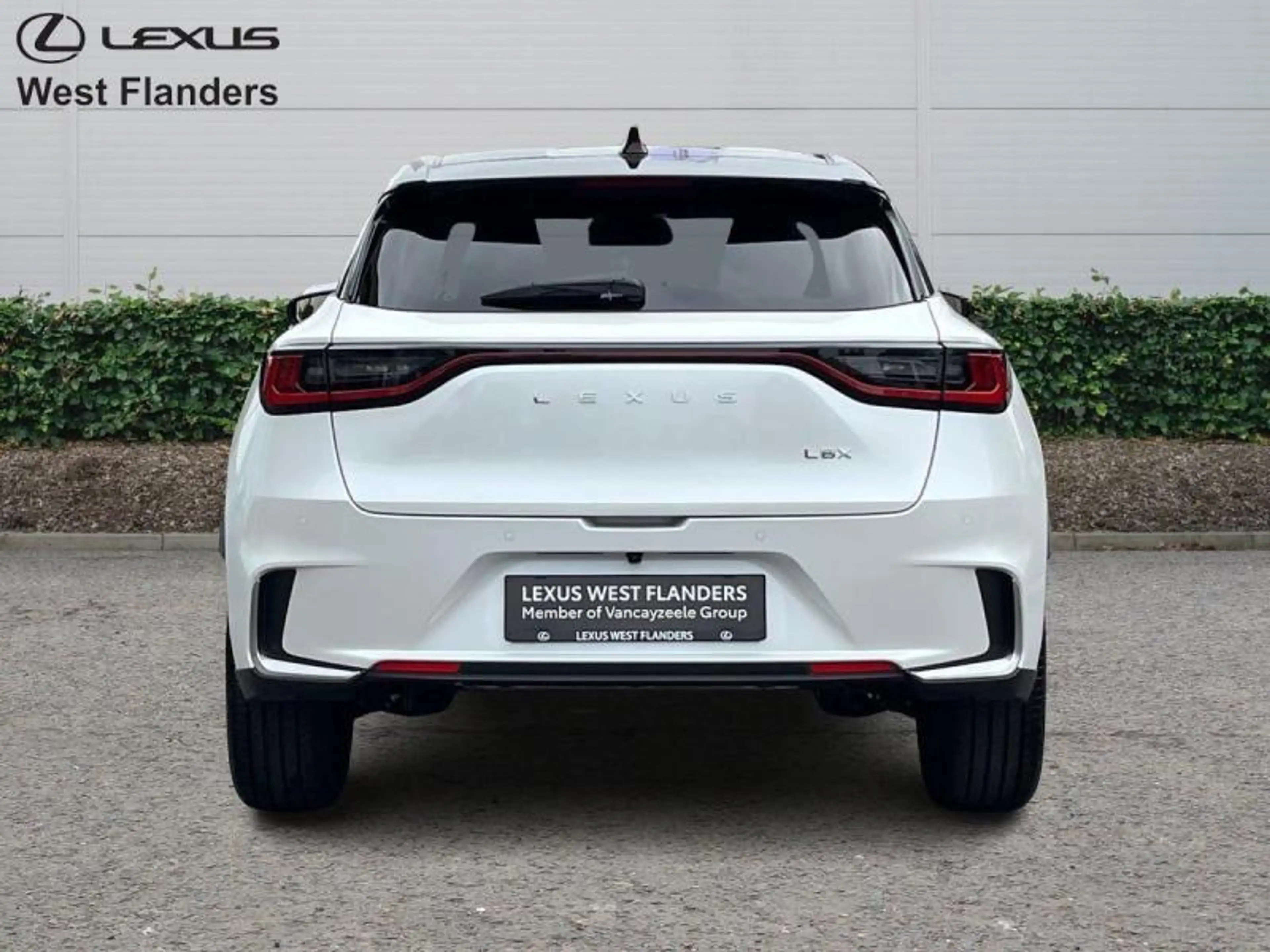 Lexus LBX Emotion+cam+dab+sens V+A — photo 6
