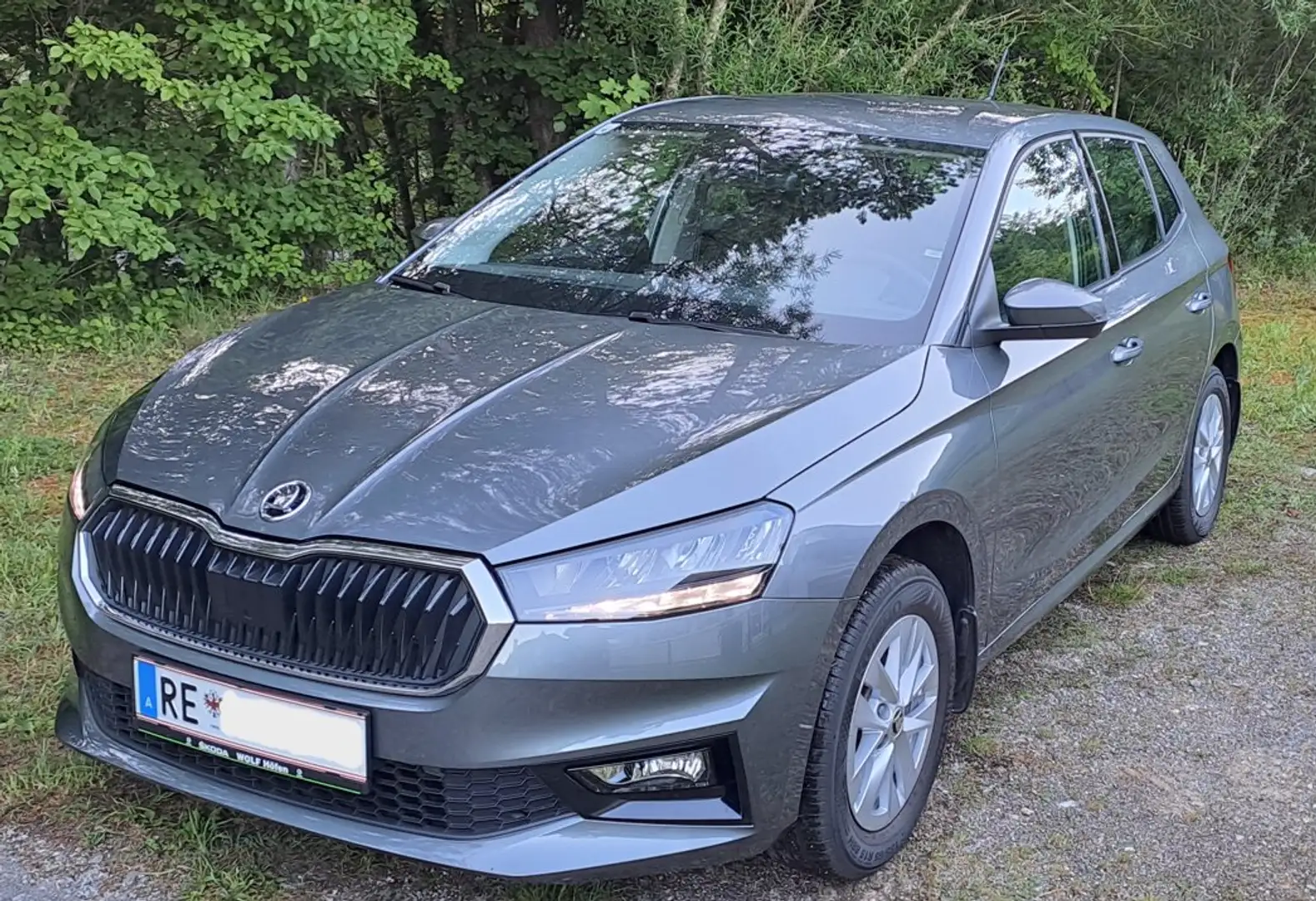 Skoda Fabia Fabia Selection 1,0 TSI Selection Grau - 1