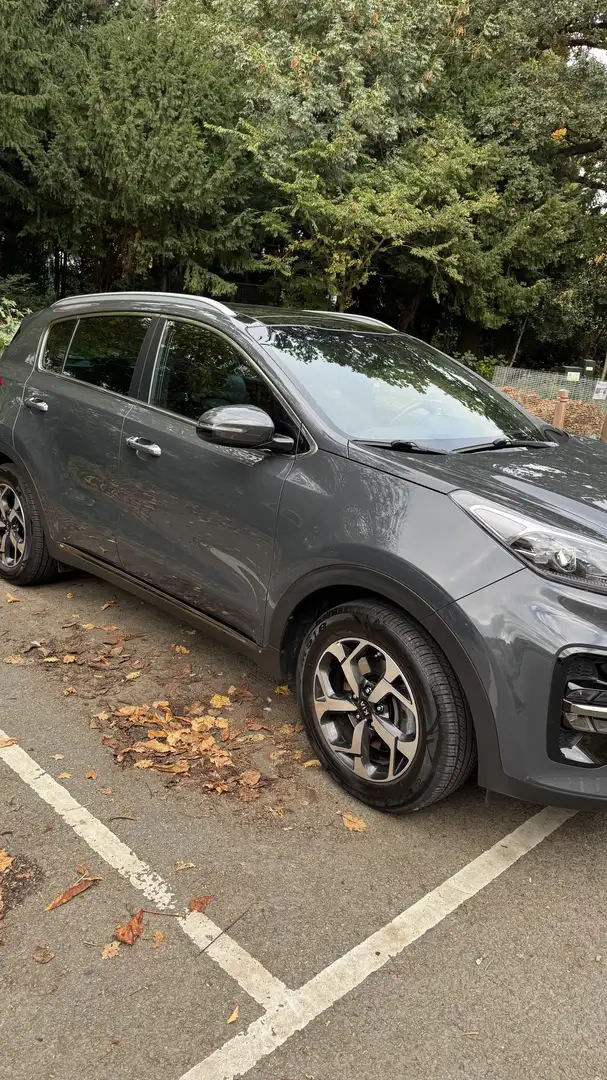 Kia Sportage 1.6 CRDI AWD Eco-Dynamics+ (48V M-H) DCT VISION - 2
