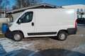 Fiat Ducato Kasten 30 115 L1H1|TÜV 02/27|Klima|AHK - thumbnail 4