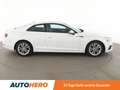 Audi A5 2.0 TDI Aut.*NAVI*XENON*LIMITER*PDC*KLIMA* Weiß - thumbnail 7