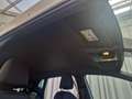 SEAT Ibiza Weiß - thumbnail 25