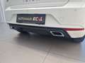 SEAT Ibiza Weiß - thumbnail 14
