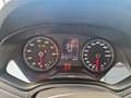 SEAT Ibiza Weiß - thumbnail 19