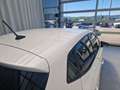 SEAT Ibiza Weiß - thumbnail 27