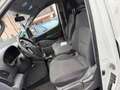 Hyundai H-1 Diesel - thumbnail 6