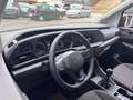 Volkswagen Caddy Basis Weiß - thumbnail 13