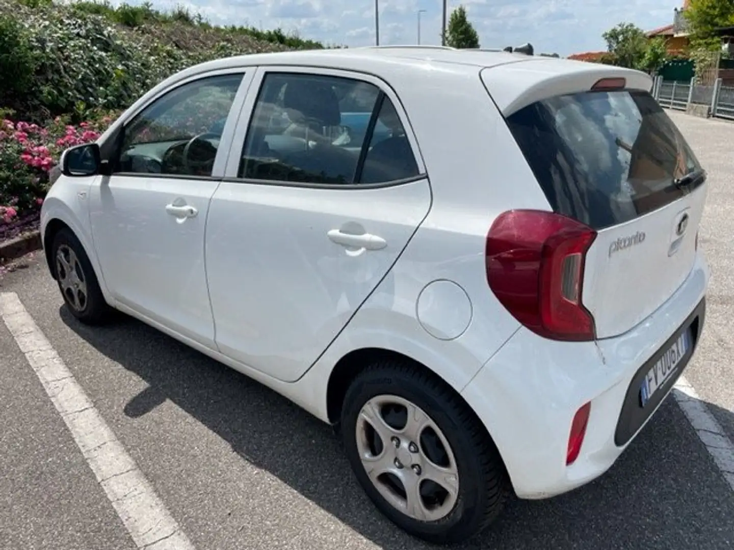 Kia Picanto Picanto 1.0 City Neopatentati White - 1