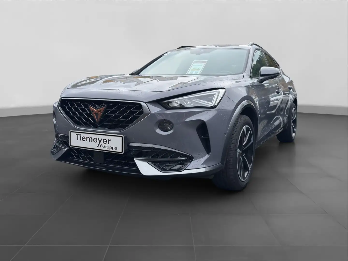 CUPRA Formentor 2.0 TDI DSG 4M FULL-LINK KAMERA NAVI+ Gris - 2