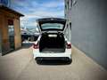 Mercedes-Benz C 250 d T AMG LIne 4MATIC 204PS Aut. - LEDER / AGR SI... Weiß - thumbnail 14